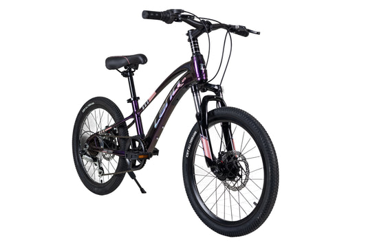LanQ MG Magnesium Alloy 20 inch Kids Bike 7 Speed 2081-7s