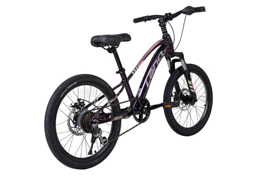 LanQ MG Magnesium Alloy 20 inch Kids Bike 7 Speed 2081-7s