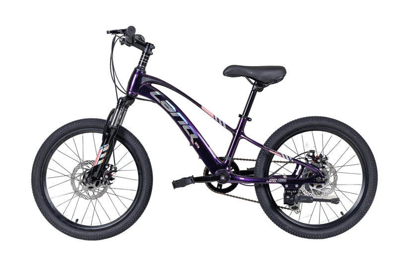 Load image into Gallery viewer, LanQ MG Magnesium Alloy 20 inch Kids Bike 7 Speed 2081-7s

