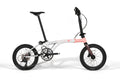 Peach Blossom Carbon Fork
