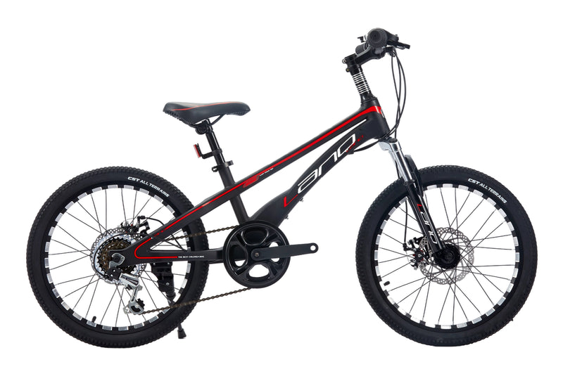 Load image into Gallery viewer, LANQ Jerush 20 inch Kids Bike Magnesium Alloy Children Bicycle
