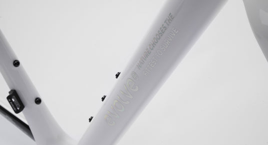 Evolve Cima Carbon Road Bike Frameset