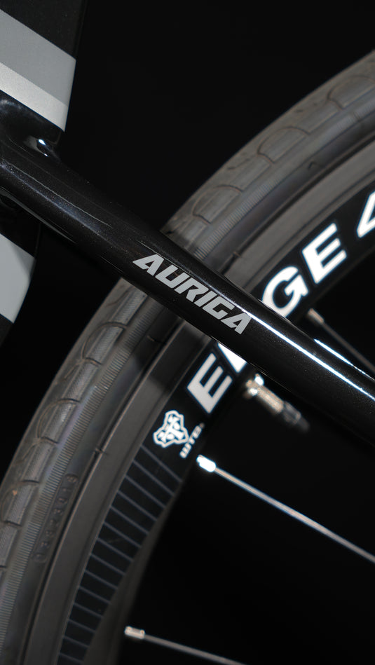 JAVA Auriga Aluminum Road Bike