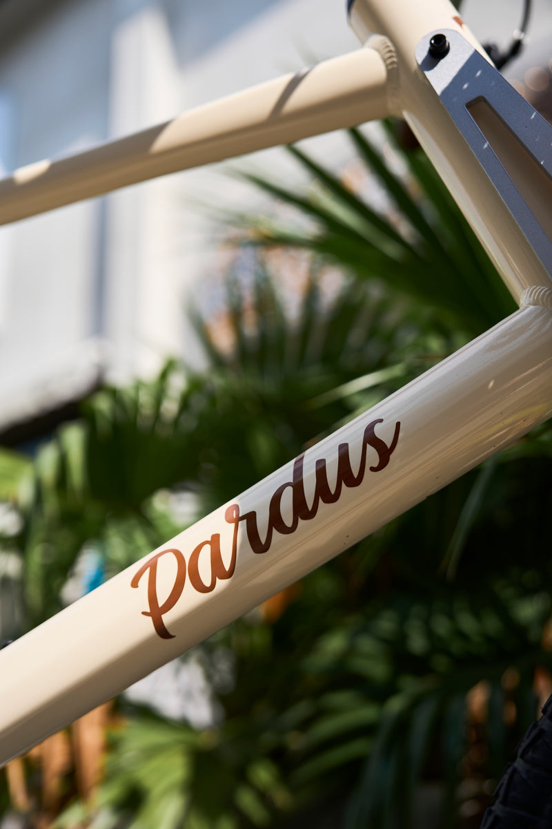 Load image into Gallery viewer, Pardus KAGO Alloy Uraban Bike
