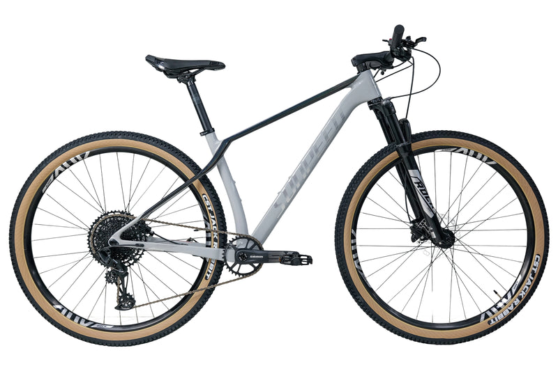Load image into Gallery viewer, Sunpeed Rock Carbon Mountain Bike
