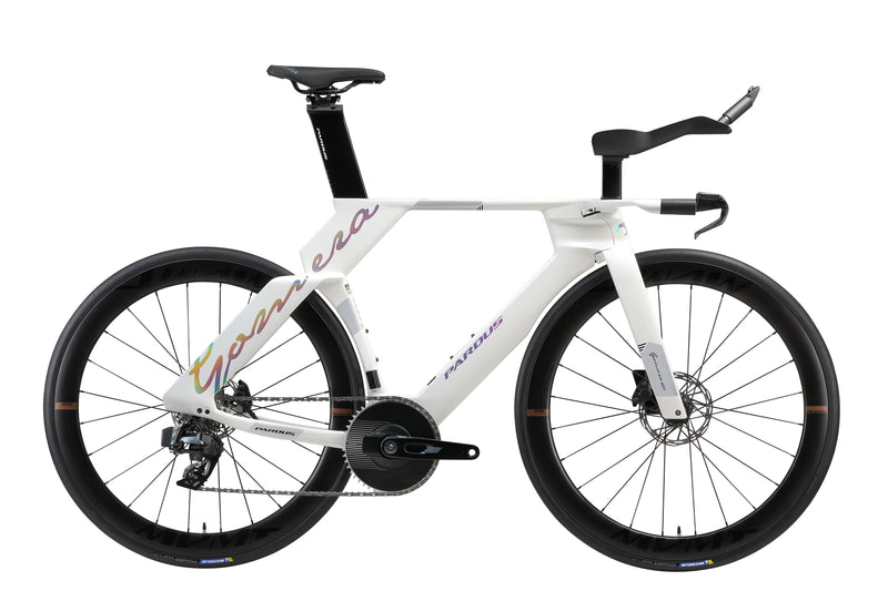 Load image into Gallery viewer, Pardus Gomera RS TT Time trial / Triathlon Bike
