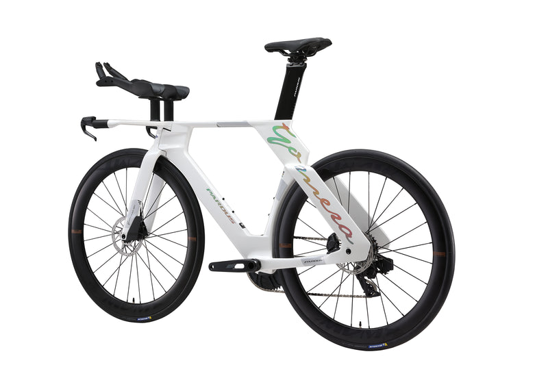 Load image into Gallery viewer, Pardus Gomera RS TT Time trial / Triathlon Bike
