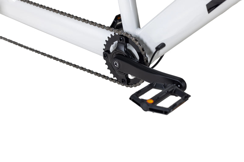 Load image into Gallery viewer, JAVA Alloy Tandem Bike
