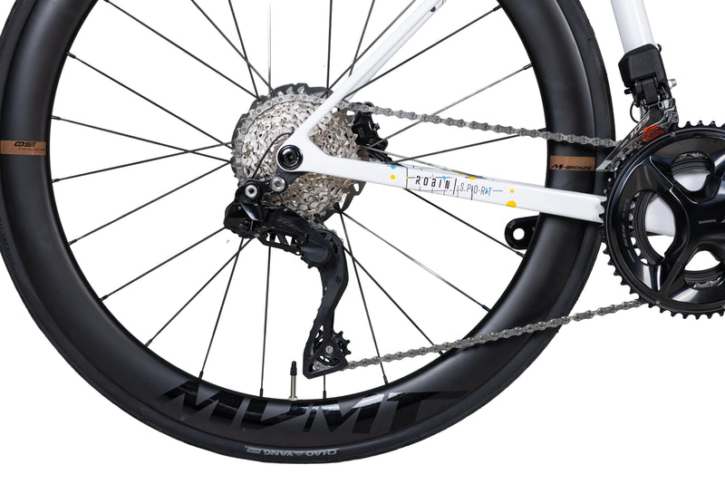 Load image into Gallery viewer, Pardus Robin Sport 105 Di2 Carbon Road Bike with Carbon Wheels
