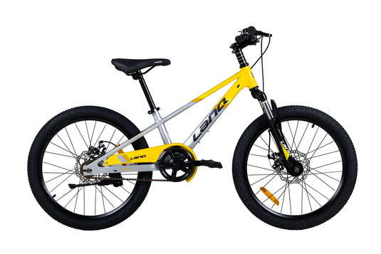 LANQ Flash 22 Inch Magnesium Alloy Kids Bike  Children Bicycle