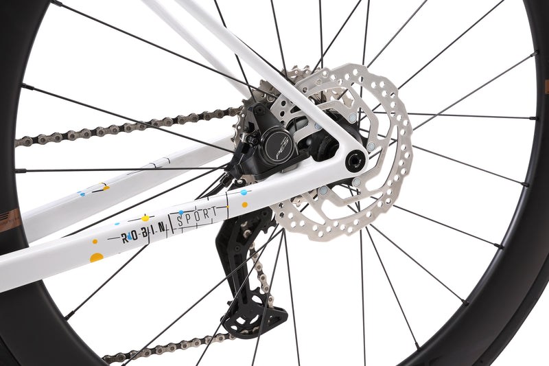 Load image into Gallery viewer, Pardus Robin Sport 2025 Carbon Road Bike PES E-Shifter Carbon Wheel
