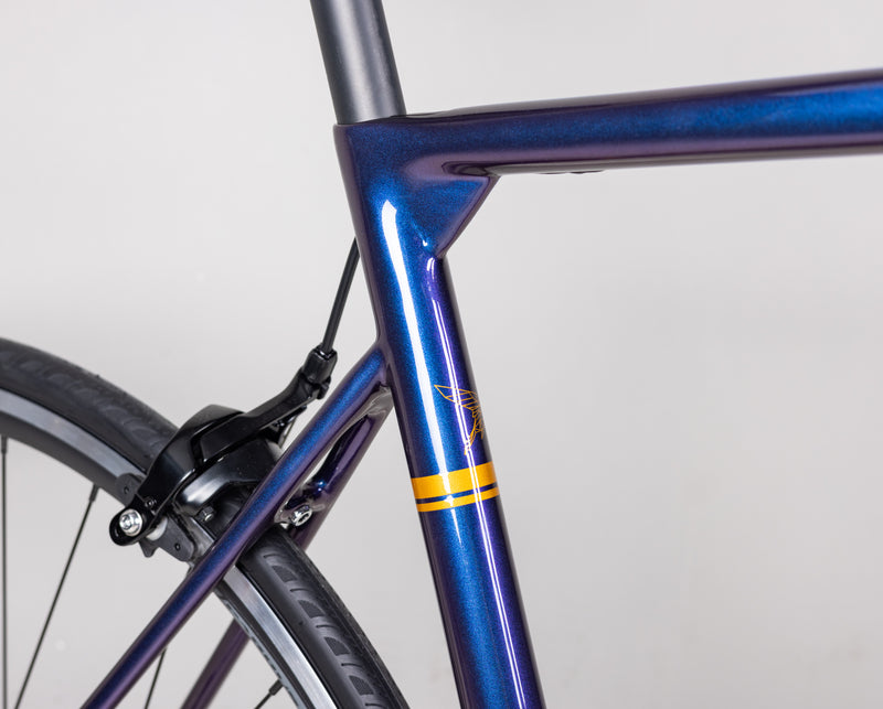 Load image into Gallery viewer, Pardus Robin SL With Alloy Wheels Road Bike Warehouse Clearance
