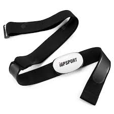 Load image into Gallery viewer, iGPSPORT HR40 Heart Rate Monitor
