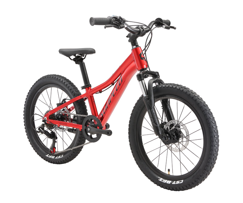 Load image into Gallery viewer, Sunpeed Youth 20 Inch Alloy Kids Bike

