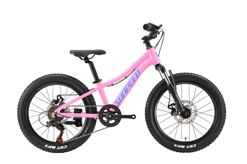 Load image into Gallery viewer, Sunpeed Youth 20 Inch Alloy Kids Bike
