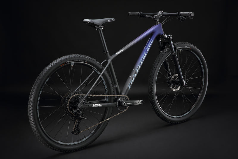 Load image into Gallery viewer, Pardus Rockcrusher EVO SX Carbon Mountain Bike

