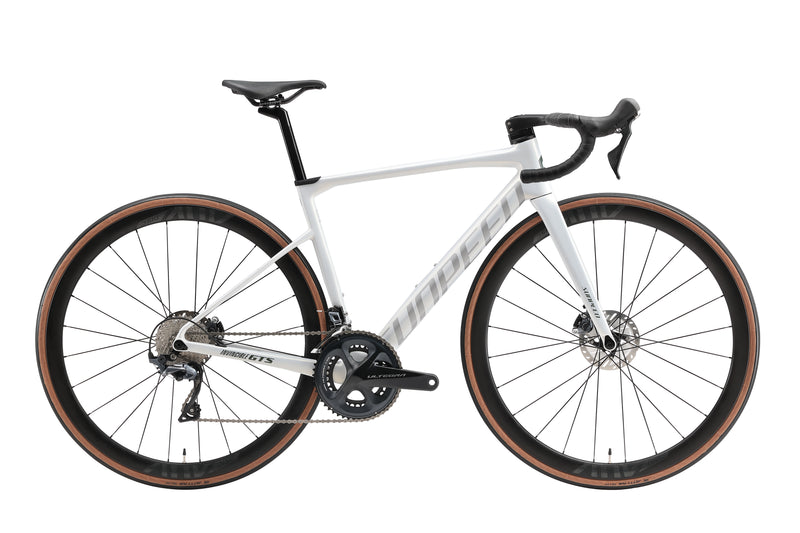 Load image into Gallery viewer, Sunpeed Invincible GTS Carbon Road Bike 105
