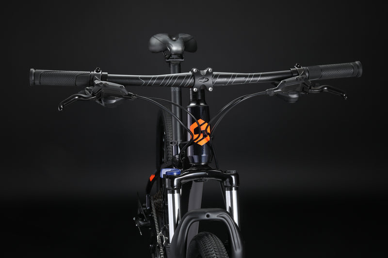 Load image into Gallery viewer, Sunpeed Stella  Mountain Bike Cross Country Cycles 24 speed
