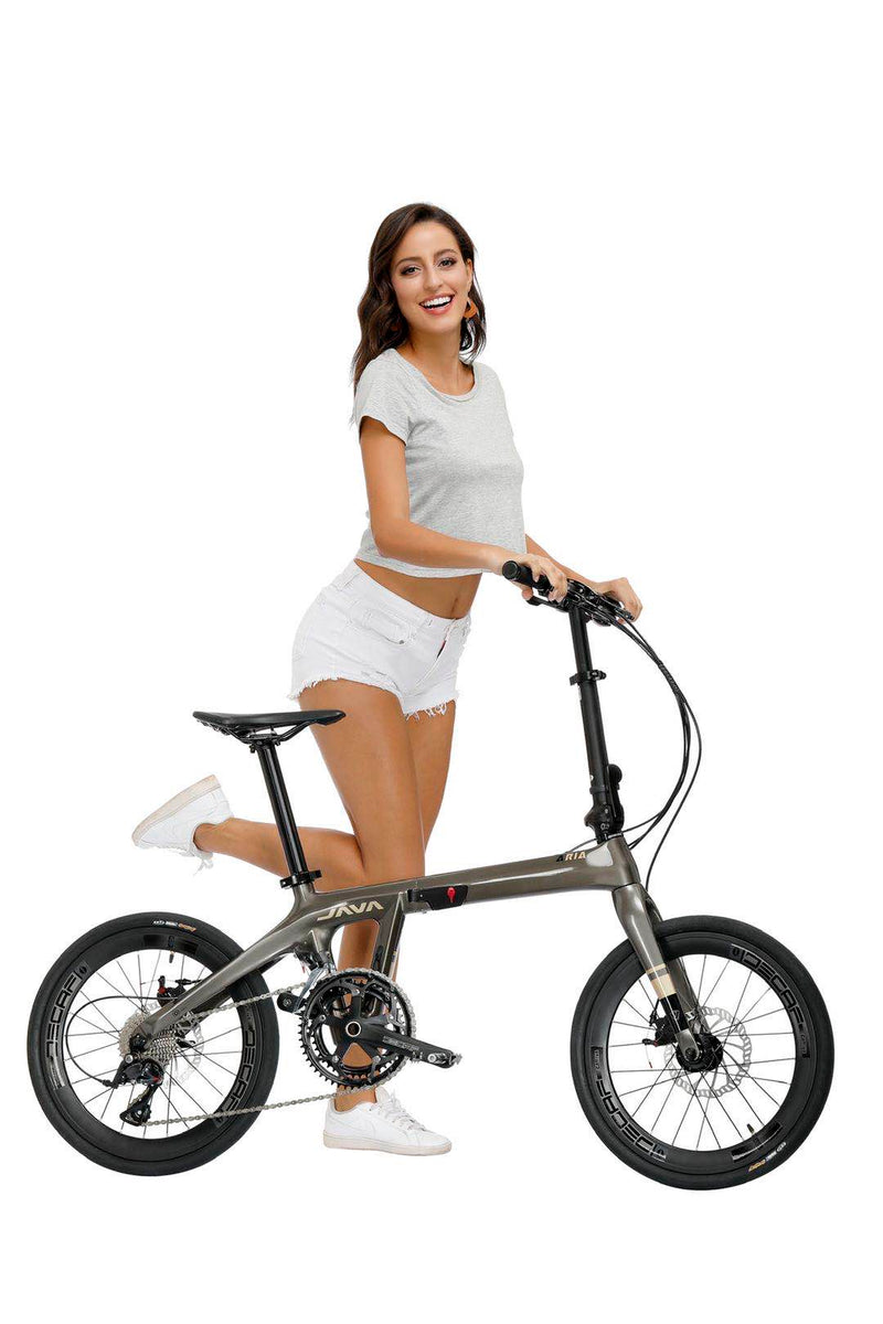 Load image into Gallery viewer, JAVA Jair Aria Carbon 20 Inch Folding Bike
