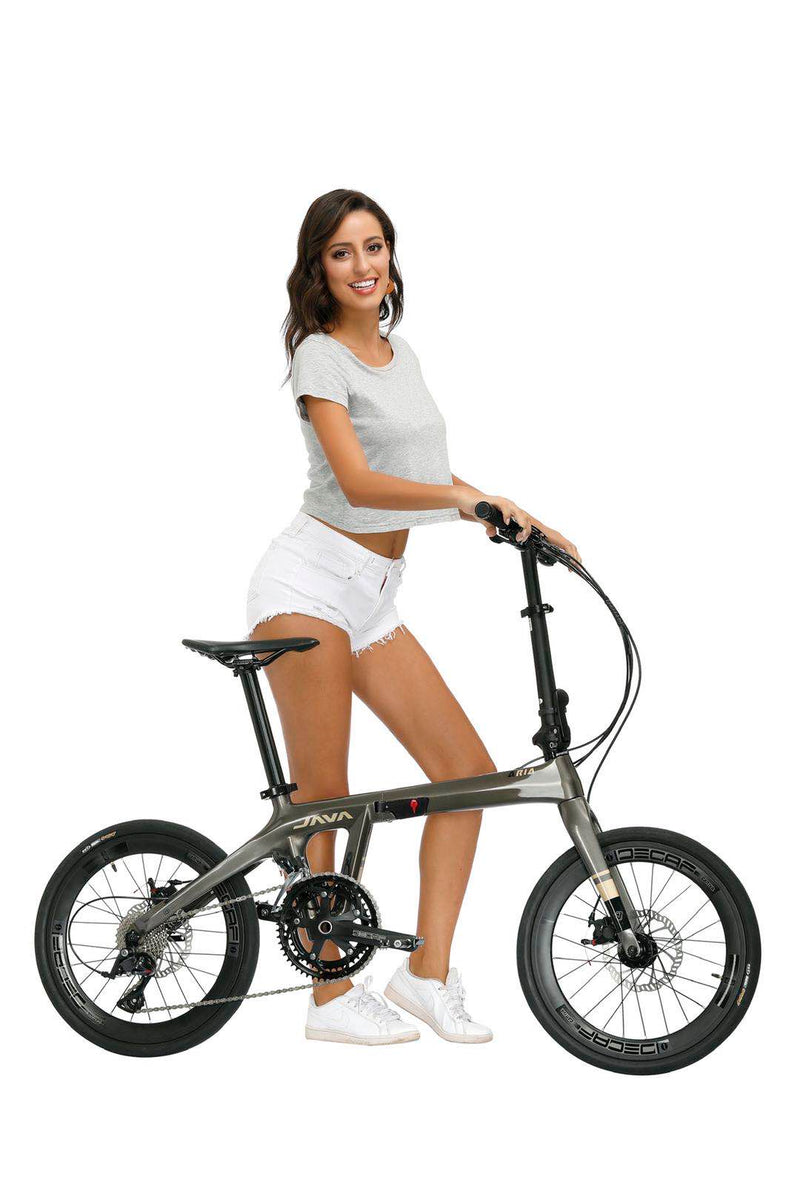 Load image into Gallery viewer, JAVA Jair Aria Carbon 20 Inch Folding Bike
