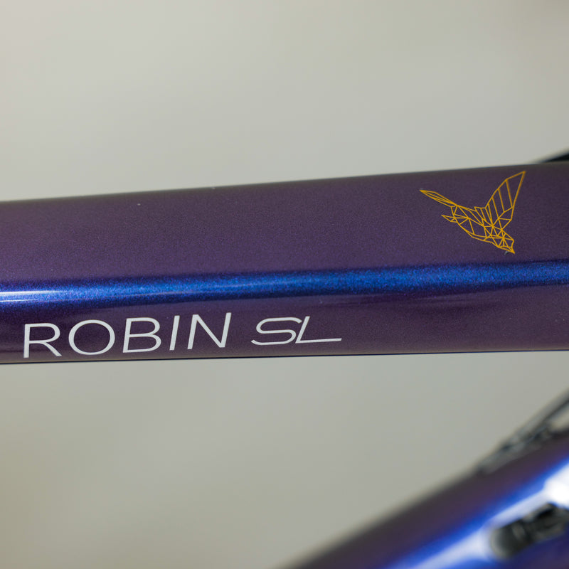 Load image into Gallery viewer, Pardus Robin SL full carbon Road Bike
