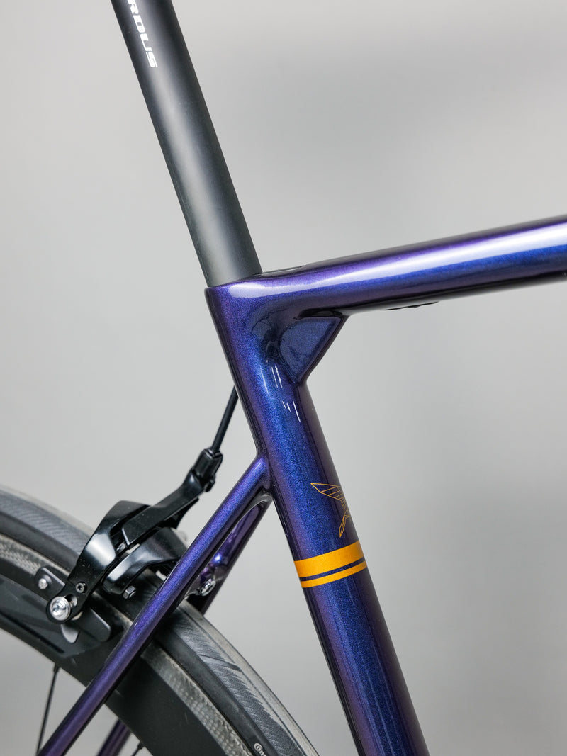 Load image into Gallery viewer, Pardus Robin SL full carbon Road Bike
