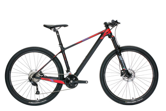 JAVA Vetta Carbon Mountain Bike