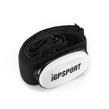 Load image into Gallery viewer, iGPSPORT HR40 Heart Rate Monitor
